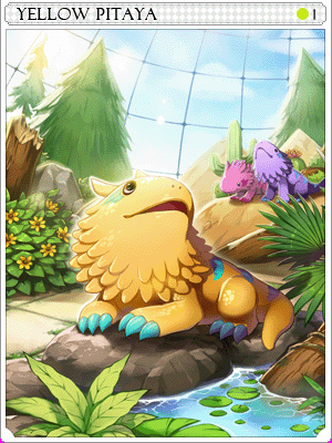 Yellow Pitaya Card illustration