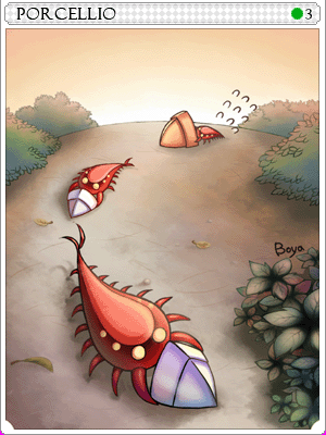Porcellio Card illustration