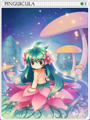 Pinguicula Card illustration