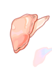 Contaminated Clam Flesh