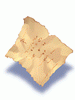 Damaged Letter