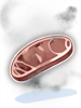 Veins Coin