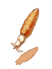 Ripe Corn