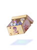 Hazardous Material Box