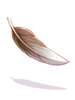 Heavy Feather