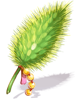 Fine Foxtail Replica