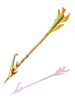 Elven Arrow