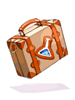 Chemical Supplies Bag