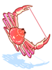 Malang Snow Crab