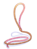 Construction Rope