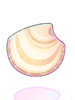 Deep Sea Shell