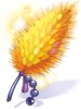 Chevalier Foxtail