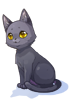 Costume Black Cat