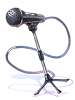 Costume Standing Mic