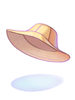 Costume Research Team Hat