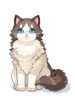 Costume Ragdoll