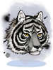 Black Wind Black Tiger