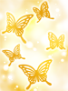 Costume Flutter Butterfly