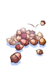 Pile Of Acorn