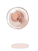 Embryo
