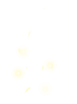 Drying Swamp