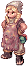 Procyon