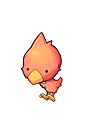 Picky as a pet
