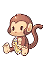 Yoyo as a pet