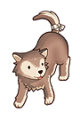 Baby Desert Wolf as a pet